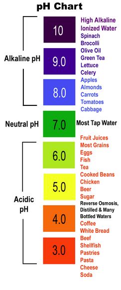 total body alkalinization Power C Plus free radical acidity elmination ...